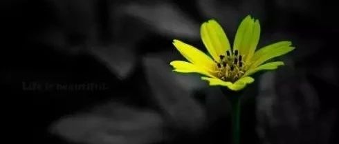 2024-12-08号,随笔