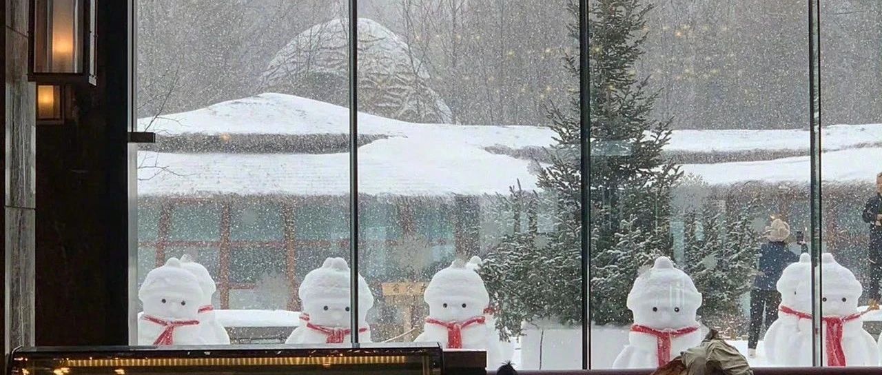 学会爱，才更容易出成绩-2025-03-15号随笔