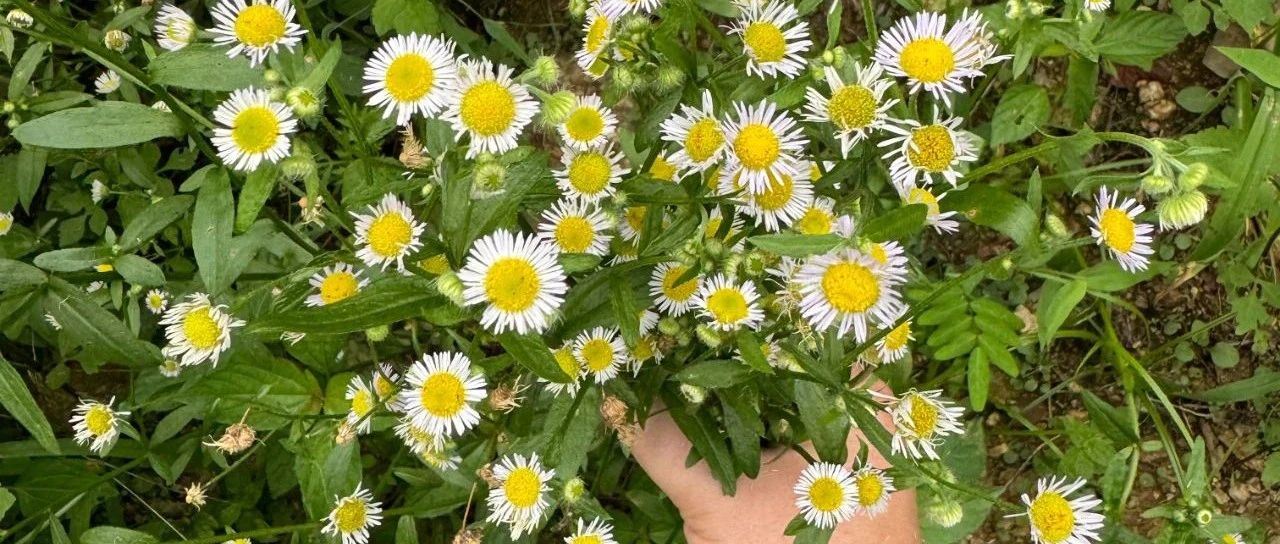 男人一辈子都困在钱与女人上-2025-03-16号随笔