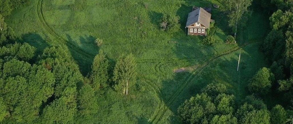 乡镇上的贵族-2025-03-25号随笔