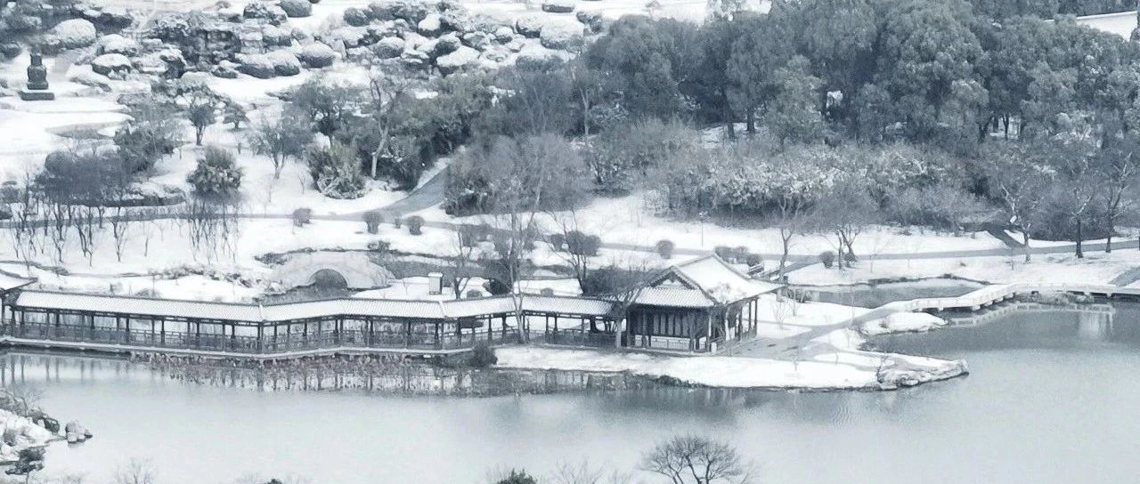 勤奋是网红的标配-2025-03-31号随笔