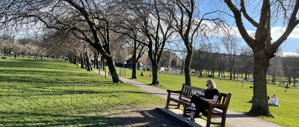 尊重每个人的生活轨迹，不规劝-2025-04-02号随笔