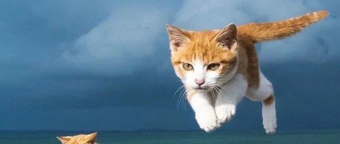 穷山恶水出刁民-2025-04-05号随笔