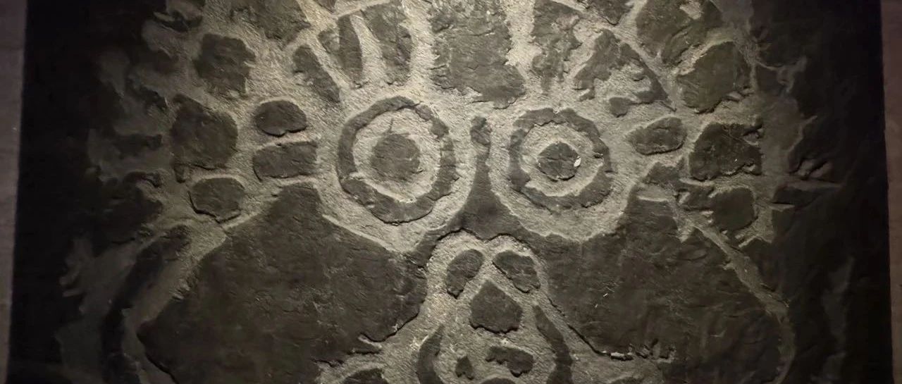 消费者对品牌的认可会决定是抱怨还是容忍 2025-06-20号随笔