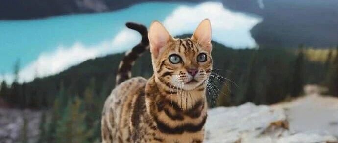 精进，是一个人一生永恒的话题 2025-10-29号随笔