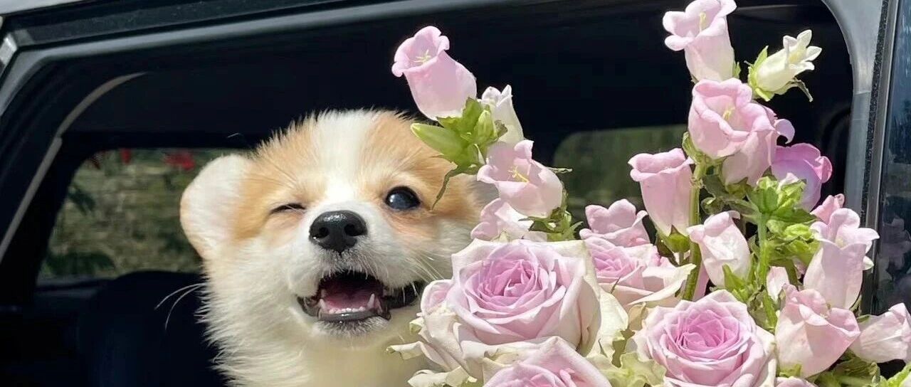 不与那些让自己不舒服的人进行量子纠缠 2025-10-30号随笔