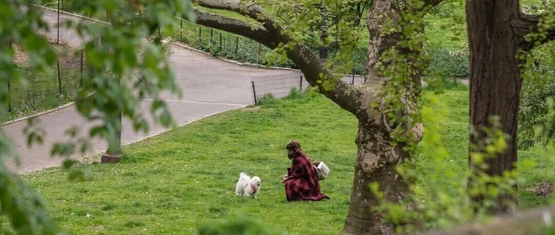 穷山恶水出刁民 2025-10-31号随笔