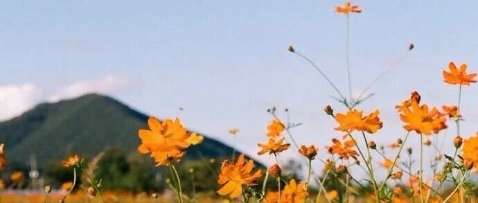 好的教育是如他所是，而不是如你所愿 2026-01-18号随笔