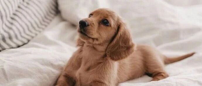 要想赚钱，就要迈过性和钱 - 2026-01-19号随笔