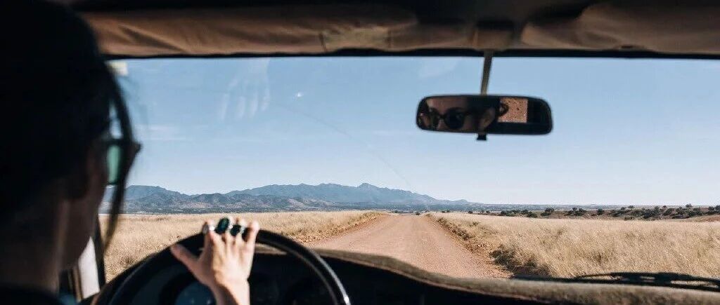 倔强的生命力 2026-01-24号随笔