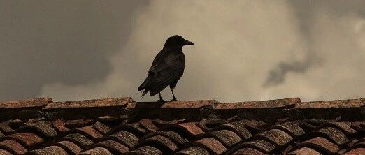 投资要有护城河，不持有无生产力的资产 2026-02-06号随笔