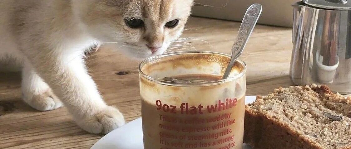 做生意，一定要修炼自己的边界感 2026-02-15号随笔